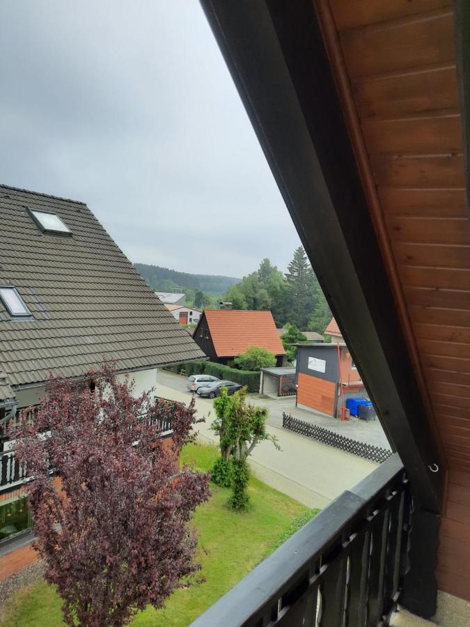 Ferienwohnung Bodehexe 2 Braunlage Bagian luar foto
