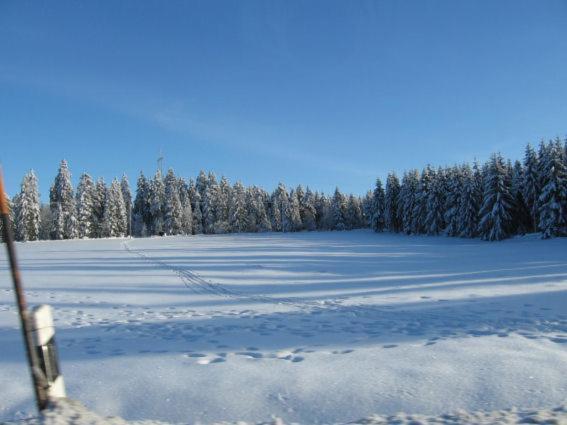 Ferienwohnung Bodehexe 2 Braunlage Bagian luar foto